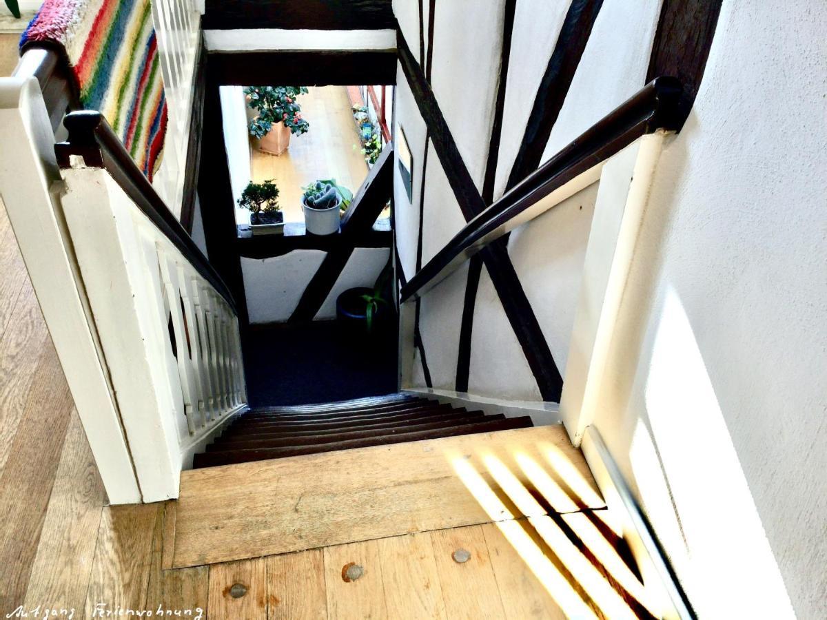 Apartmán Dr. Fabian Und Christine Drube Immenhausen Exteriér fotografie